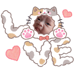 pocha_20260517074557
