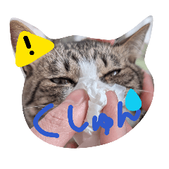 yuka_Pon