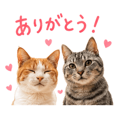 A greeting from cute cats