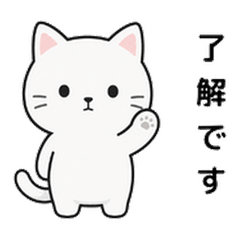 Soft White Cat Everyday