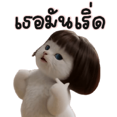 meaww white bob!!!!!!!
