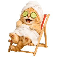 Meow Som so annoying (No text)