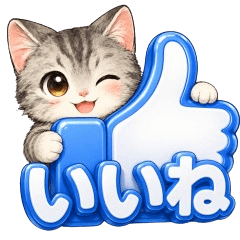 3D Text American Shorthair Cat