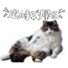 Urara_20260517083741