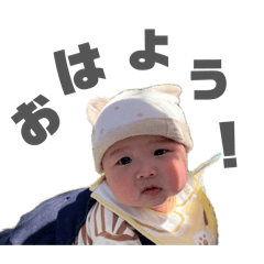 Shiba_20260517084601