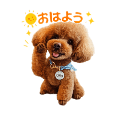 PROFESSOR HIRO._20260517084621