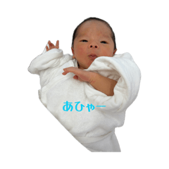 akkey_20260430