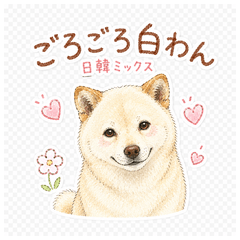 Gorogoro White Pup: JP-KR Mix