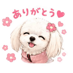 nao_20260517094815
