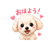 hieda_20260517095103