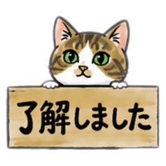 w. piko.piko_20260517095217