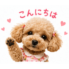 Mami_20260517095448