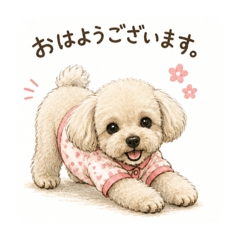 Nao_20260517095215