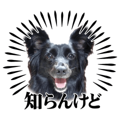 wanwano_20260517100428