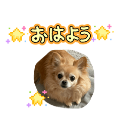 kohashiguuni