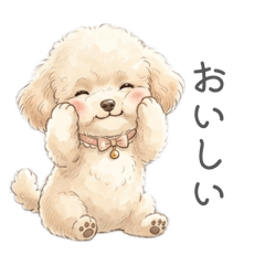 harunire studio_20260517102911