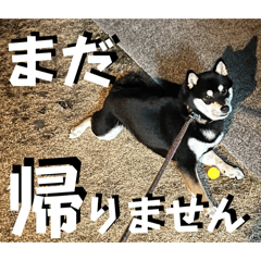 miwa_20260517102800