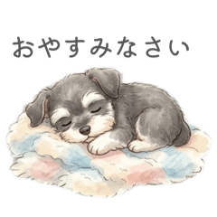 harunire studio_20260517104514