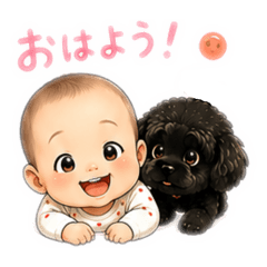 noa_20260517104652