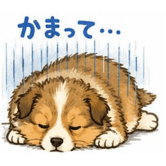 IS_20260507070040