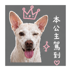 陳家小公主lumi搞怪日常