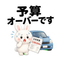White Bunny Car Buying and Selling