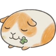 hikari_20260517102511