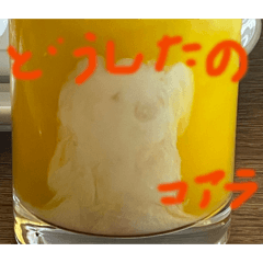我们的好伙伴