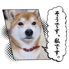 MICHIKO_20260517112703