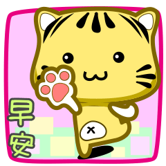 可愛條紋小貓貓!!!CAT202