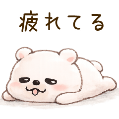 kumachu---n yurufuwa2
