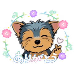 chiaki_20260517113945