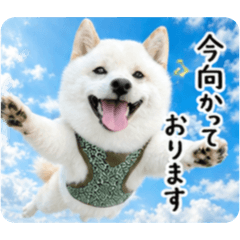mami._20260517114116