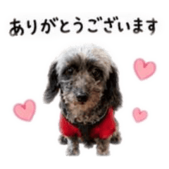 Noameri_20260517114023