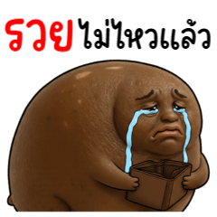 อึ่งอ่างนั่งข้างโอ่ง