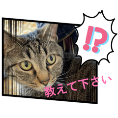 doremi_20260517115513