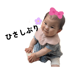 socha_20260517115912