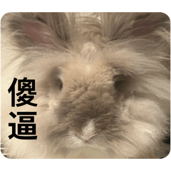 蓬蓬快樂人生表情包（？第二彈