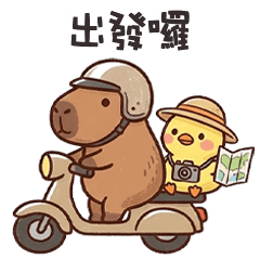 cute tiny capybara4