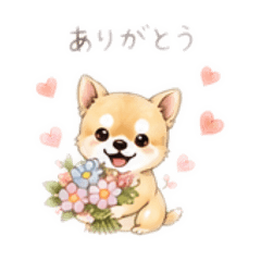MIKI_20260517122917