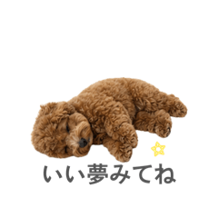Reo_20260517121810