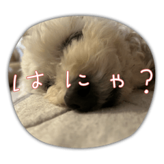mznutg_20260517125727