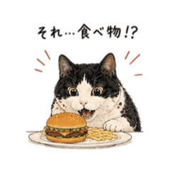 Coco.blanc_20260517130235
