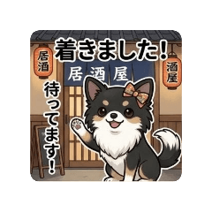 shunachiwa_20260517125718