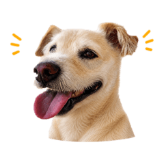 Kii_20260517131633
