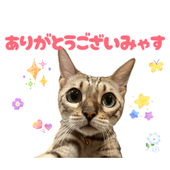 Tsuki_20260517131924