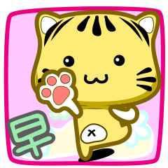 可愛條紋小貓貓!!!CAT206