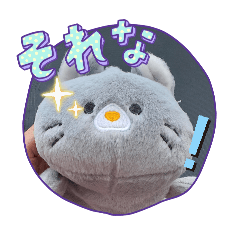 rinapi_20260517134558