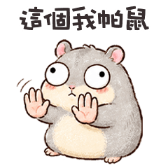 fat hamster cute2