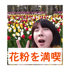 moeny_20260517140021